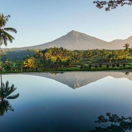 בניוואנגי Ijen Resort And Villas - The Hidden Paradise מראה חיצוני תמונה