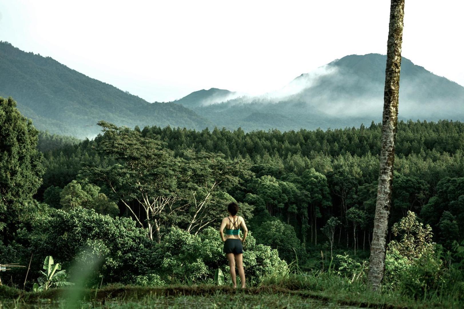 בניוואנגי Ijen Resort And Villas - The Hidden Paradise מראה חיצוני תמונה