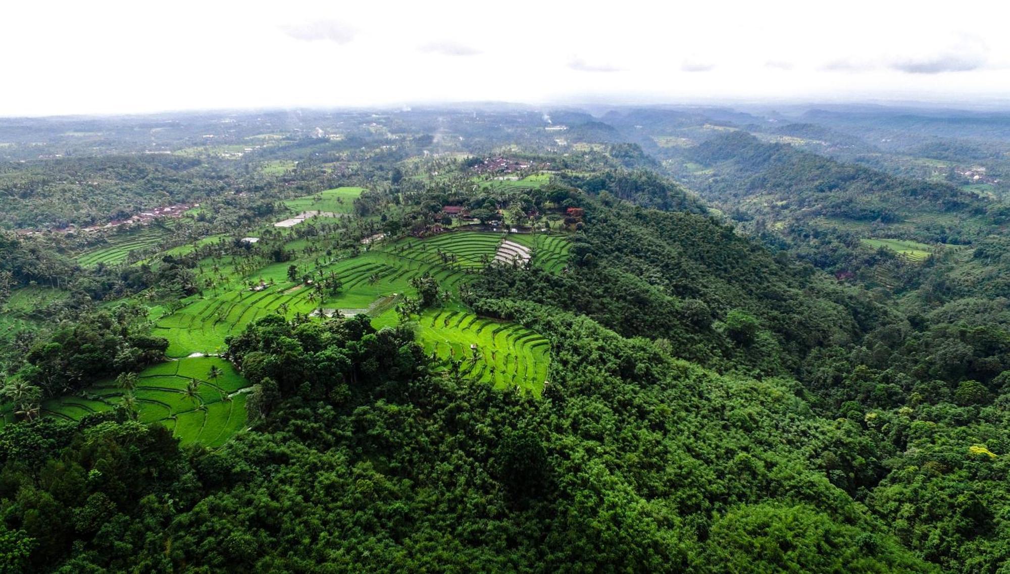 בניוואנגי Ijen Resort And Villas - The Hidden Paradise מראה חיצוני תמונה