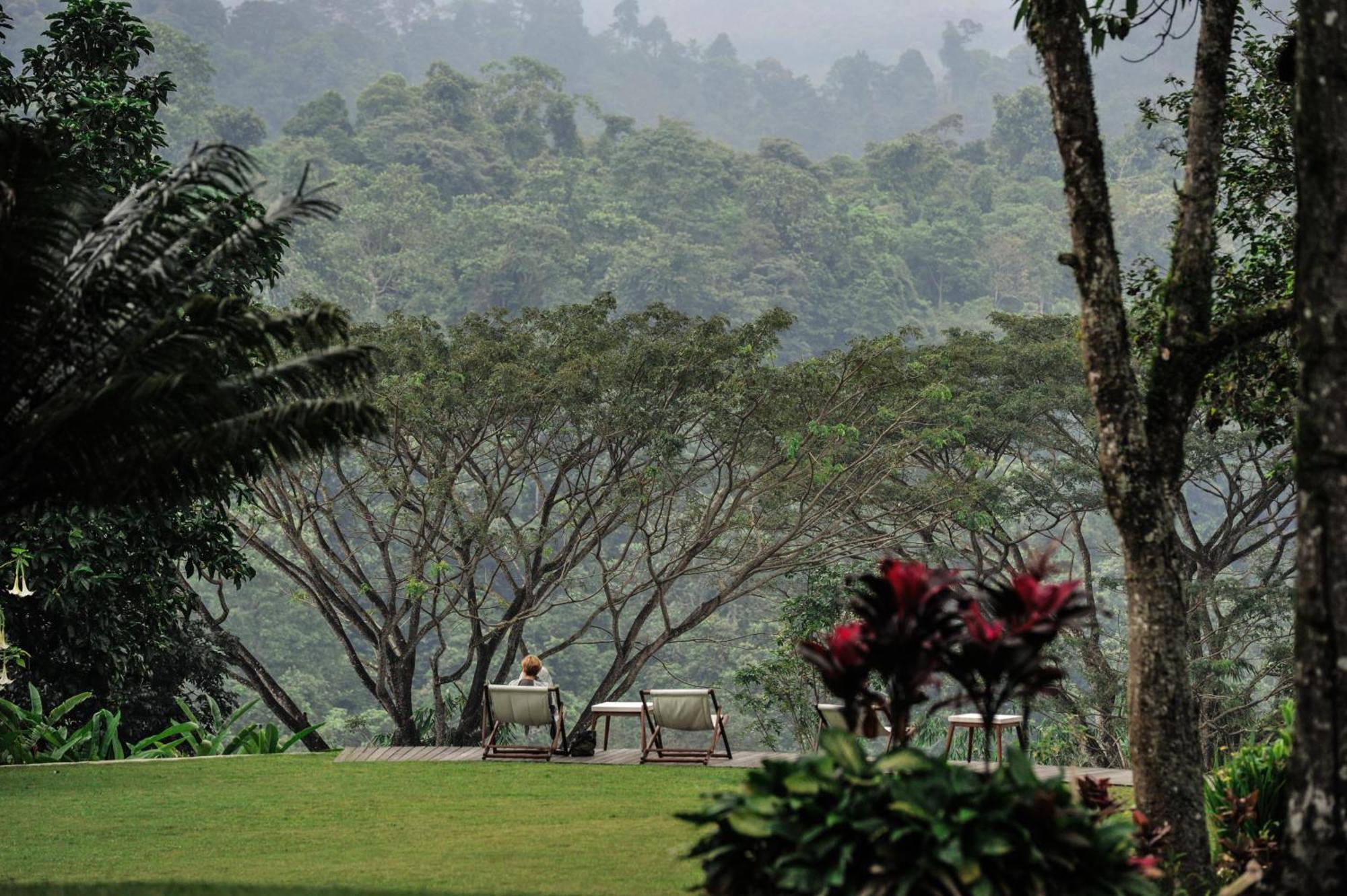 בניוואנגי Ijen Resort And Villas - The Hidden Paradise מראה חיצוני תמונה