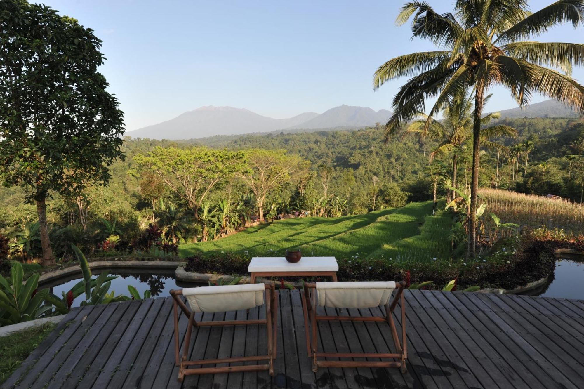 בניוואנגי Ijen Resort And Villas - The Hidden Paradise מראה חיצוני תמונה