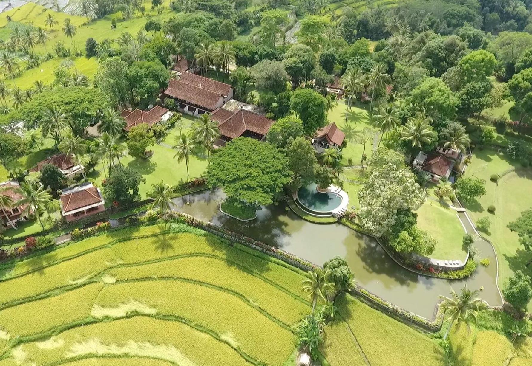 בניוואנגי Ijen Resort And Villas - The Hidden Paradise מראה חיצוני תמונה