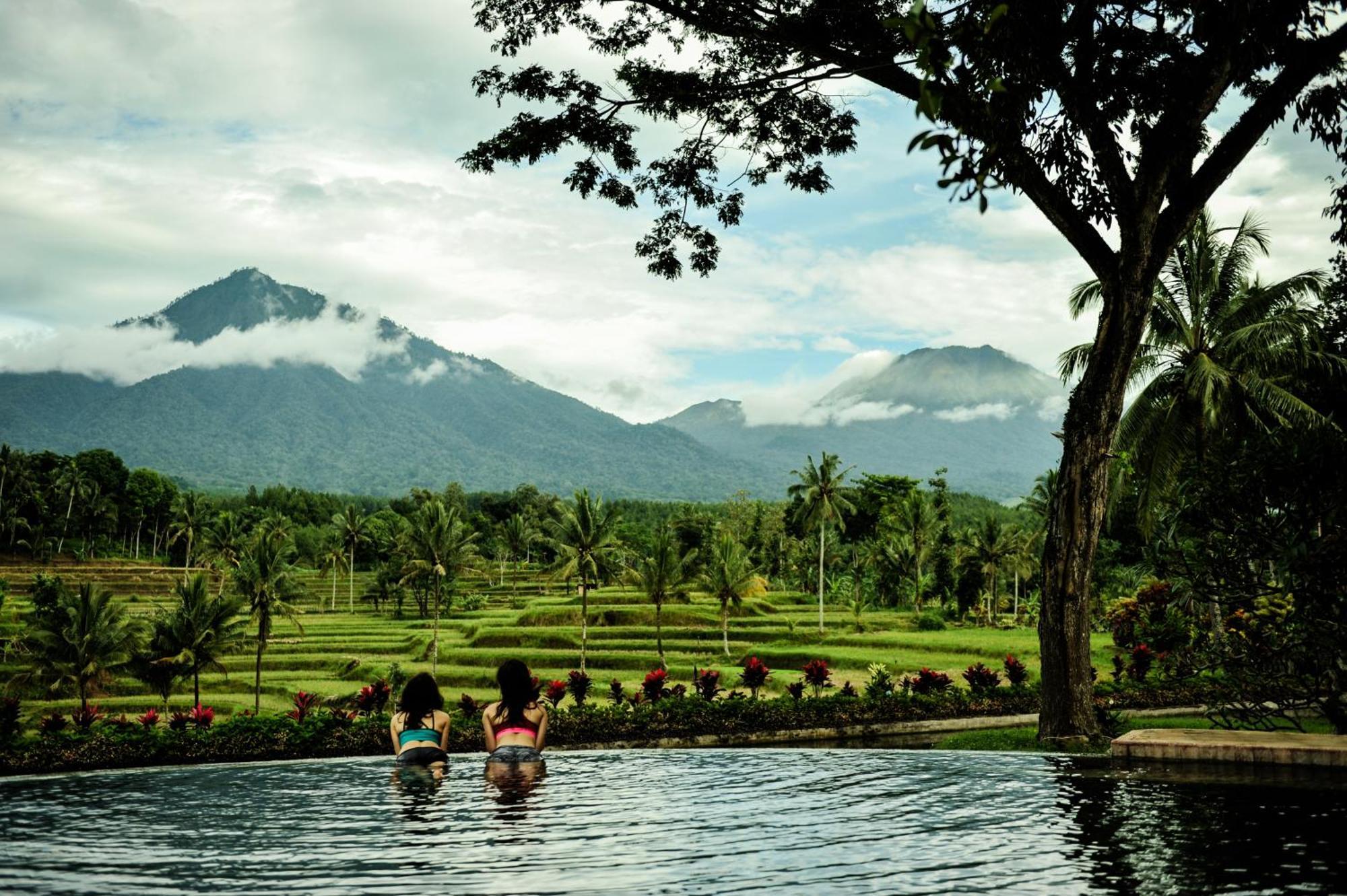 בניוואנגי Ijen Resort And Villas - The Hidden Paradise מראה חיצוני תמונה
