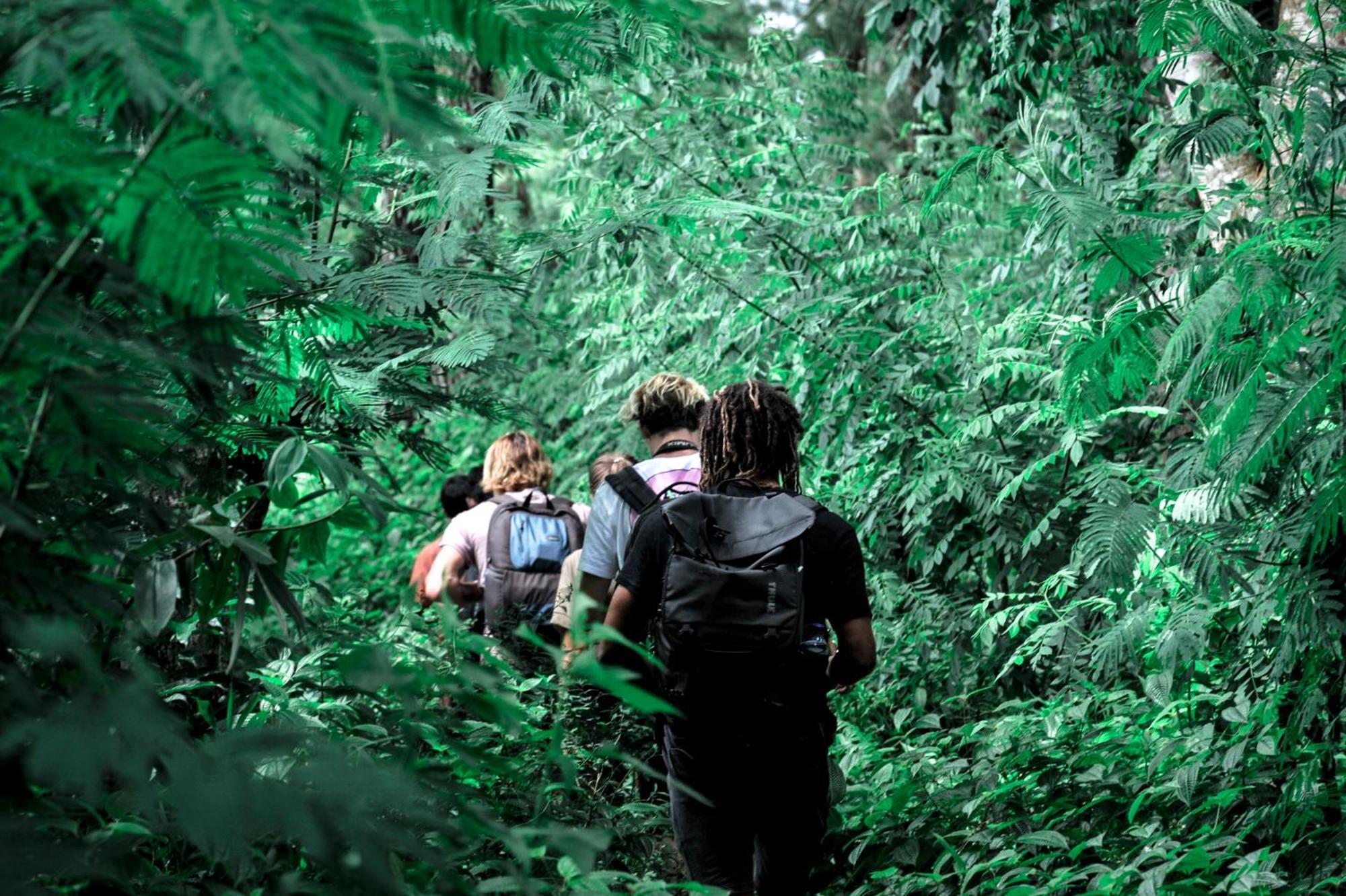 בניוואנגי Ijen Resort And Villas - The Hidden Paradise מראה חיצוני תמונה