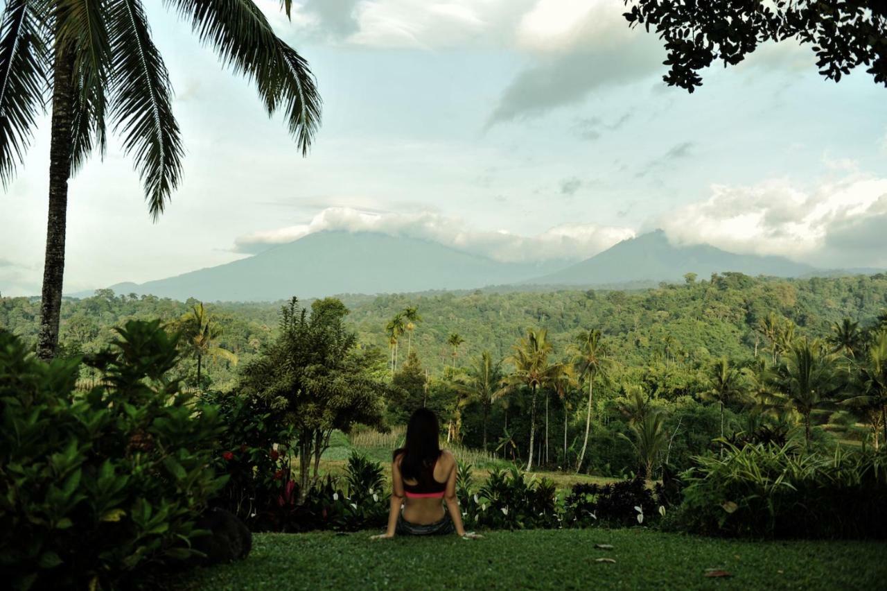 בניוואנגי Ijen Resort And Villas - The Hidden Paradise מראה חיצוני תמונה