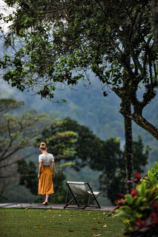 בניוואנגי Ijen Resort And Villas - The Hidden Paradise מראה חיצוני תמונה