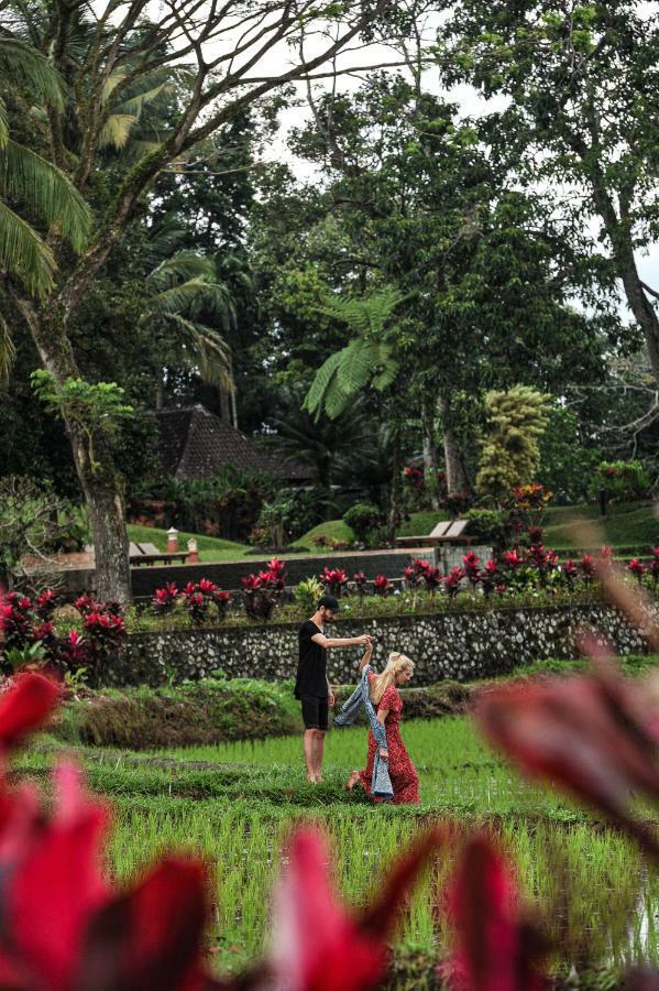 בניוואנגי Ijen Resort And Villas - The Hidden Paradise מראה חיצוני תמונה