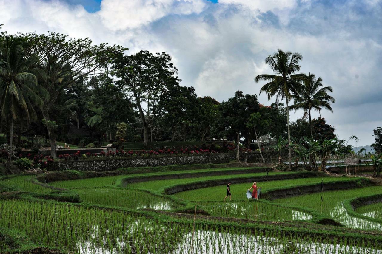 בניוואנגי Ijen Resort And Villas - The Hidden Paradise מראה חיצוני תמונה